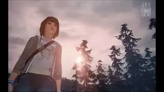 life is strange shaders update
