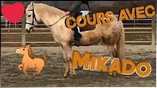 Cours d'équitation du 22/2/2019 avec Mikado