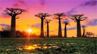 Hidden Gems Series : Unveiling Africa's Top 10 Unexplored Destinations