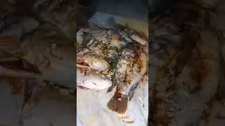 mau mukbang tapi gagal.