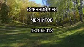 Осенний лес  Чернигов