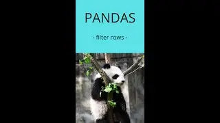 Filter rows for specific values in a Pandas DataFrame - Python | 20sec code 