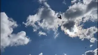 Ижевские голуби. Утренний полет
