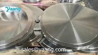 ASME B16.48 A182 F316 Spectacle Blind Flange RF 10