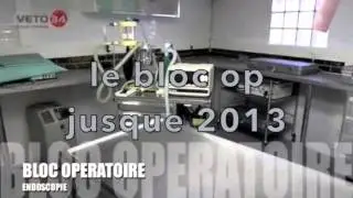 Veto 34 version 2014