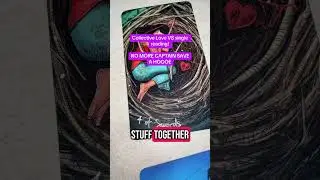 2025 single vs relationship reading