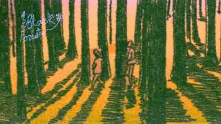 Europe, EP09: The Black Forest, Germany