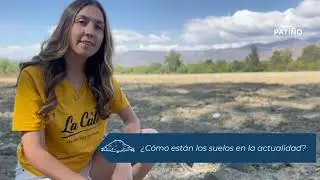 Degradación de suelos