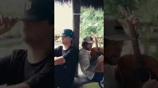 Una caricia para el corazón 
