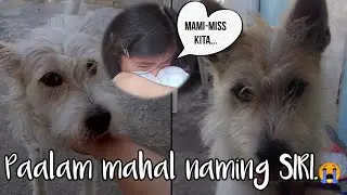 Eto Ang Pinakamasakit sa Lahat, Ang Mawala sa piling mo Ang Asong Minahal mo Buong Buhay mo......