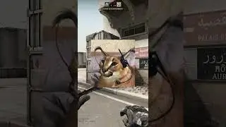 Average Matchmaking Experience...