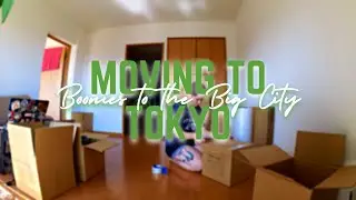 Moving to Tokyo Japan in Less than One Month