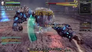 Flurry(Spear Maiden) DPS TEST 10 Golem 17.02.2019 DN INA