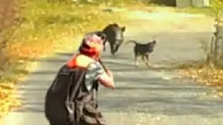 AKSİYON DOLU DOMUZ AVI (2021)/σούπερ κυνήγι χοίρων/ Caccia al maiale gigante / WILD BOAR HUNTING