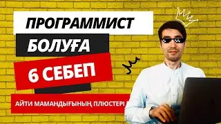 Программист болудың 6 себебі | АРТЫҚШЫЛЫҚТАР