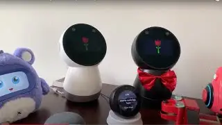 Jibo and Friends - Saturday Livestream (Red Rose)