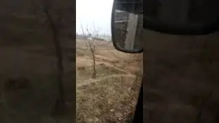 Чубак Гуламов(1)