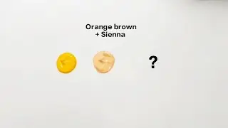 Satisfying color mixing 🎨 | FLICKER 