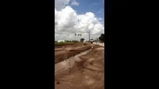 Miami mx scrub