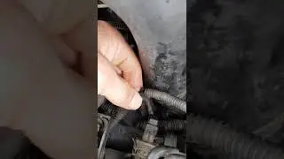 Расположение вакуумных трубок vectra c 2.2 dti