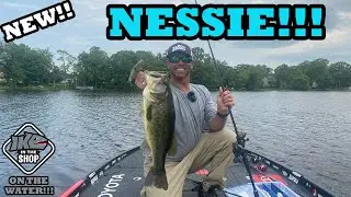 Unveiling the Brand NEW Berkley PowerBait Nessie: The Ultimate Soft Glide Bait!!!