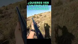 ¿Quieres ver un triplete de perdices? 