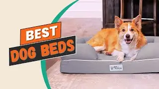 ✅Top 10 Best Dog Beds for a Comfy and Restful Sleep