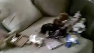 JB Vids (14)_WMV V9.wmv