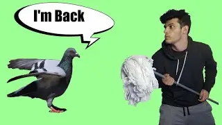 Jimmy's back