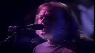 Pink floyd live in Venecia 1989