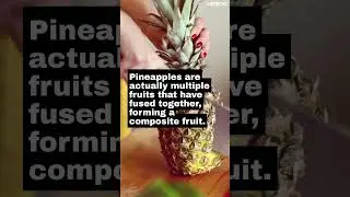Did you know? 