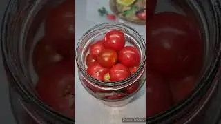 Заливаю ПОМИДОРЫ ОДИН раз! Провожу эксперимент!