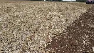 Horsch tiger обработка поля после кукурузы на зерно