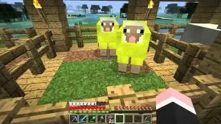 JD's Minecraft Thing 010: Farmside Cabins and Endermen Battles