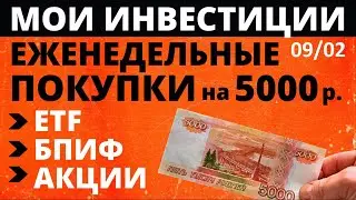 №68 Инвестиции в акции 5000р в неделю. Тинькофф Инвестиции. ETF.  Акции. БПИФ. ОФЗ. Инвестиции 2021.