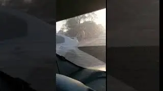 Голая девушка на зеленом острове