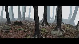 improving my 3d enviroment skills in blender 3.6 using eevee ssgi