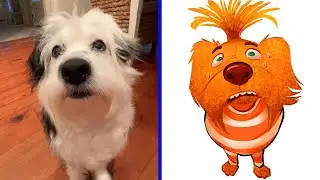 When your Dog acts like Anxiety from Inside Out 2 🐶🐱 Funny Animal Memes
