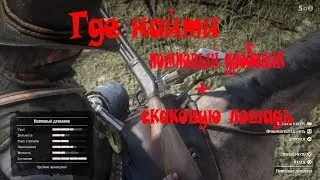 Помповый дробовик+скаковая лошадь где найти??? Red Dead Redemption 2 - Rockstar Games