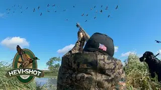 Goose Hunting Over Water (Landing in the DECOYS)