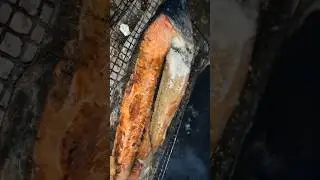 Salmon BBQ【Solo Camping】