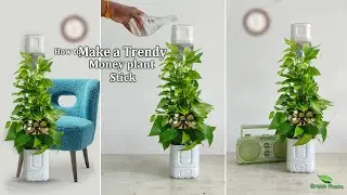 How to Make a Trendy Money Plant Stick for Your Home | Money Plant Growing Stick//GREEN PLANTS