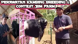 Study Kandang Cara Perawatan Kambing Breeding dan Contest  di JBM Farm || Jendral Tani