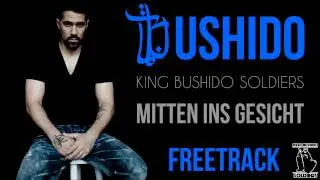 Bushido - Mitten ins Gesicht