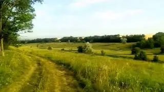 Новокраснянка. Цветочное поле