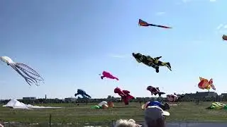 Risen Drachen fest