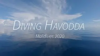 Diving Havodda - Maldives 2020