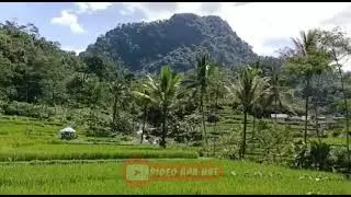 suasana yang indah #viral #video #hiburanrakyat #status #videoshort #tiktok #shorts #storywa