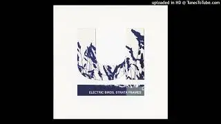 Electric Birds - Pitch Patterns