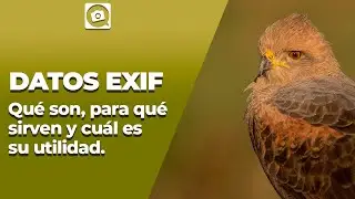 DATOS EXIF, POR QUE SON IMPORTANTES